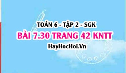 Bài 7.30 trang 42 Toán 6 Tập 2 Kết nối tri thức